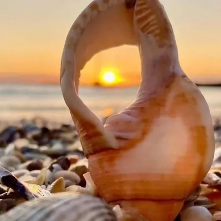 Apartamento Nordsea Mamaia